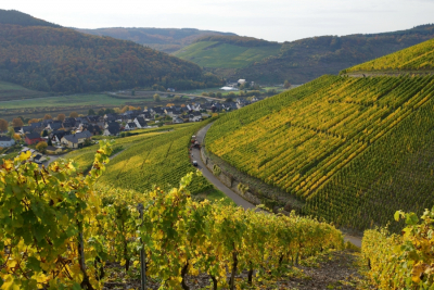 2024 Nr.13 Himmelreich Kabinett MAGNUM 1,5l